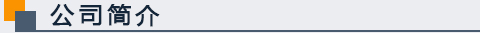 公司簡介